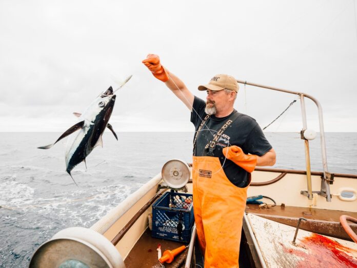 a fisherman pulls in an albacore