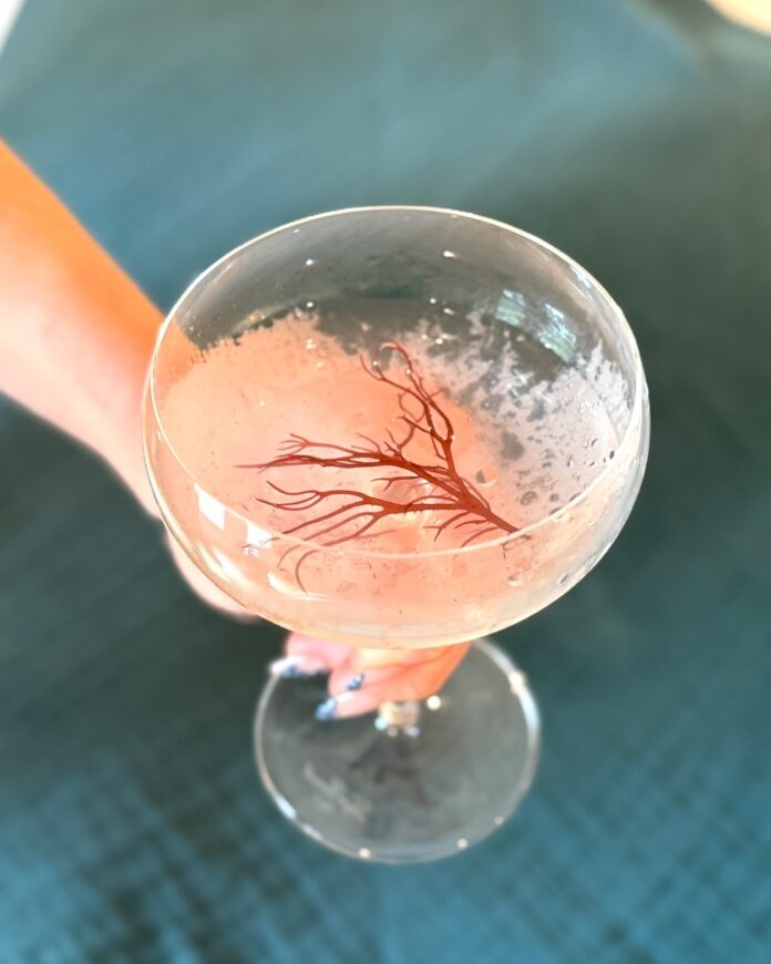 ogo martini in a glass