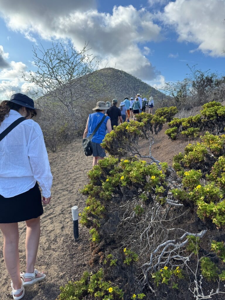 tourists hike on a trail in the galapagos islands national park
