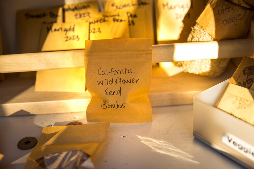 a neighborhood seed library featuring packets of seed bombs