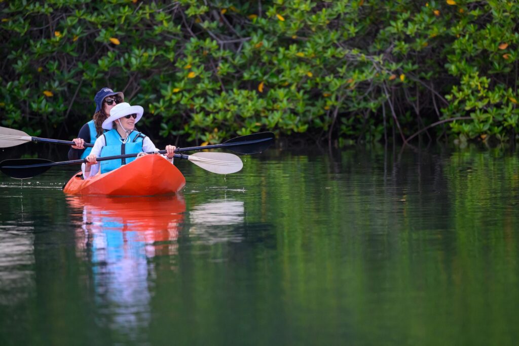 sarah glazer kayaks in the mangroves around the galapagos islands