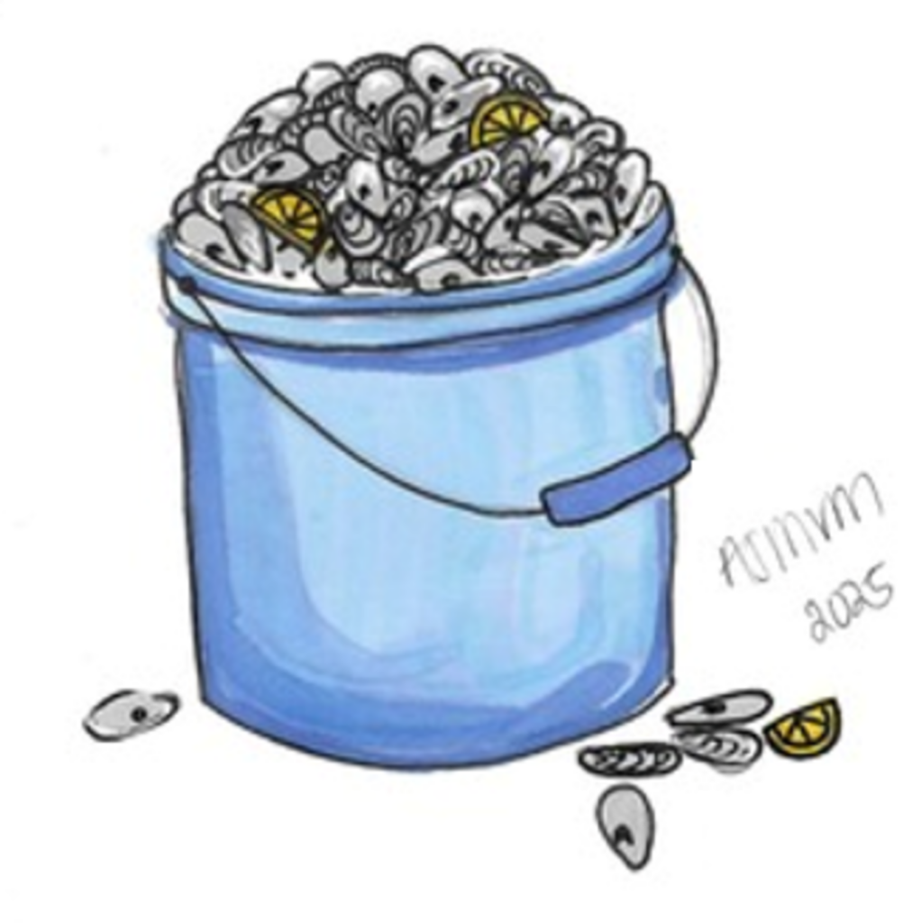 shell bucket illustration