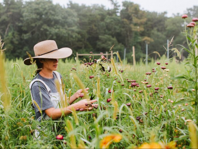 a woman stands at slip away farm