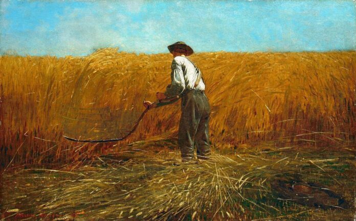 the Veteran in a New Field by Winslow Homer