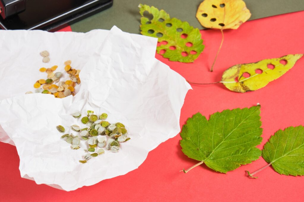 hole punch and leaves for handcrafting party confetti