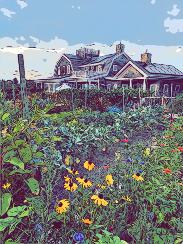 a photo of rachael freeman's home