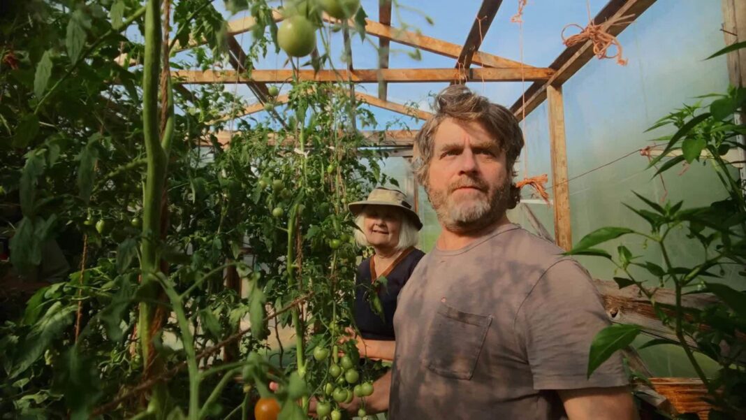 zach galifianakis in his garden