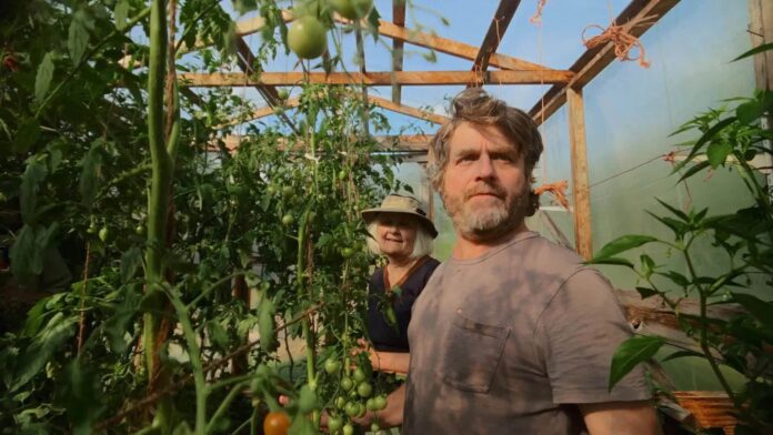 zach galifianakis in his garden