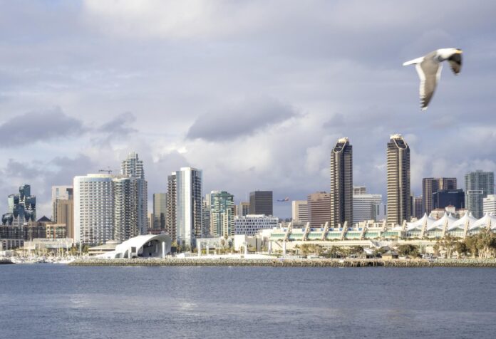 a bird flies across the coronado skyline