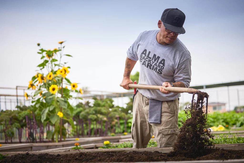 a man raking dirt on alma backyard farms