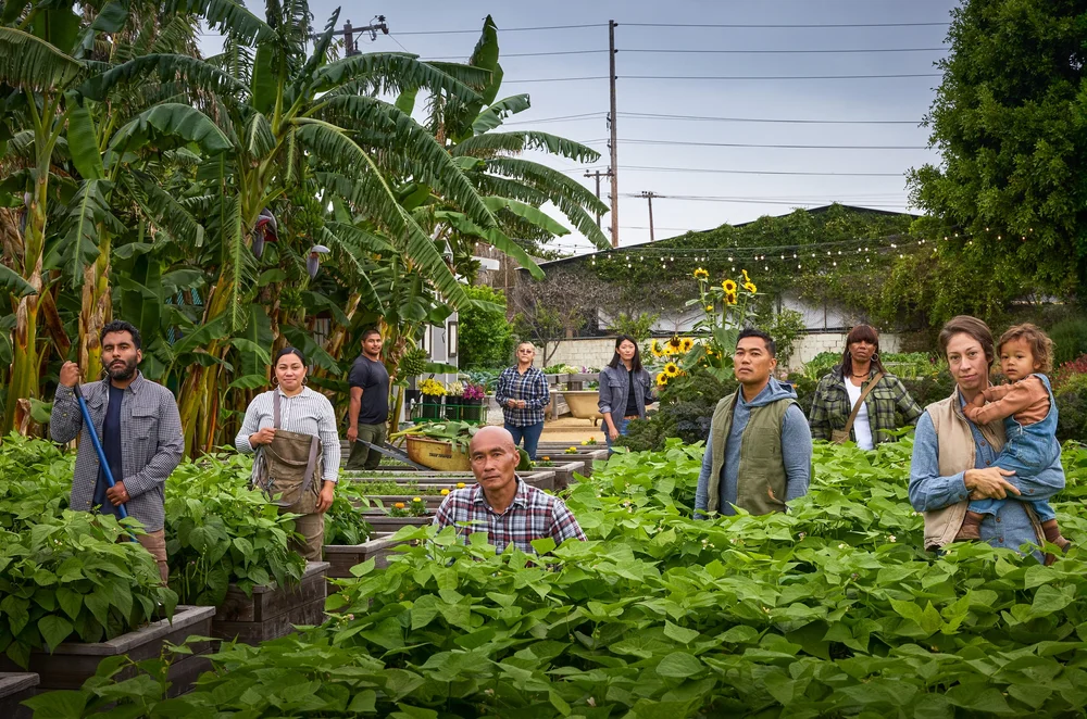 the staff at alma backyard farms