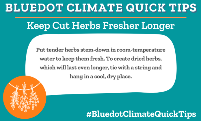 Climate Quick Tip: Keep Cut Herbs Fresher Longer Put tender herbs stem-down in room-temperature water to keep them fresh. To create dried herbs, which will last even longer, tie with a string and hang in a cool, dry place. SEO: Avoid food waste by storing fresh herbs in room temperature water or hanging to dry.
