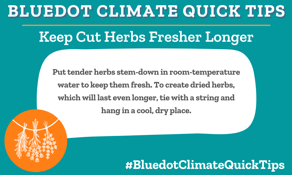 Climate Quick Tip: Keep Cut Herbs Fresher Longer Put tender herbs stem-down in room-temperature water to keep them fresh. To create dried herbs, which will last even longer, tie with a string and hang in a cool, dry place. SEO: Avoid food waste by storing fresh herbs in room temperature water or hanging to dry.