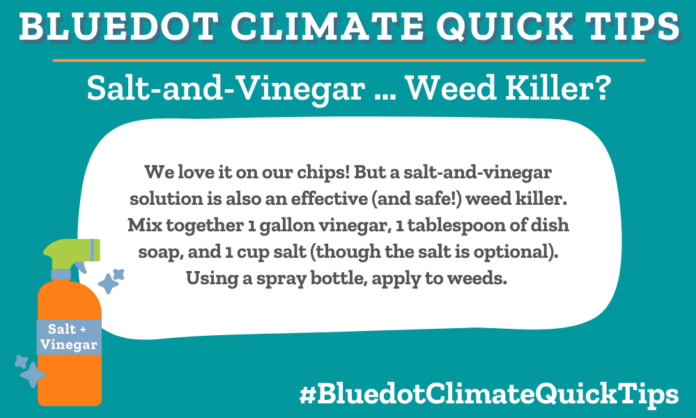 Climate Quick Tip: Salt-and-Vinegar … Weed Killer We love it on our chips! But a salt-and-vinegar solution is also an effective (and safe!) weed killer. Mix together 1 gallon vinegar, 1 tablespoon of dish soap, and 1 cup salt (though the salt is optional). Using a spray bottle, apply to weeds. SEO: The acid in vinegar is an effective (and safe) weed killer.