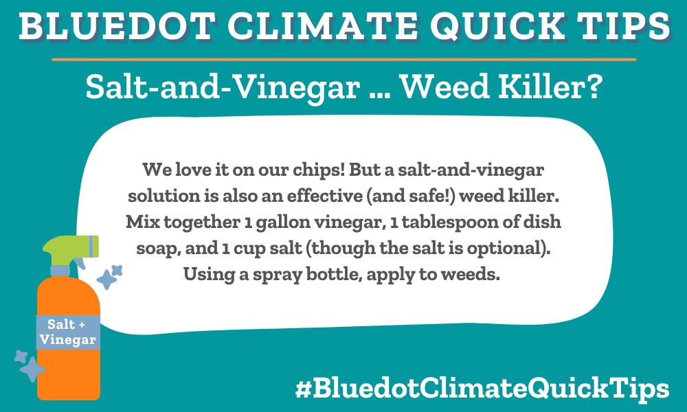 Climate Quick Tip: Salt-and-Vinegar … Weed Killer We love it on our chips! But a salt-and-vinegar solution is also an effective (and safe!) weed killer. Mix together 1 gallon vinegar, 1 tablespoon of dish soap, and 1 cup salt (though the salt is optional). Using a spray bottle, apply to weeds. SEO: The acid in vinegar is an effective (and safe) weed killer.