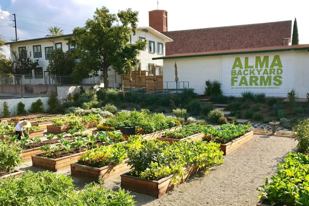 alma 1.5-acre farm
