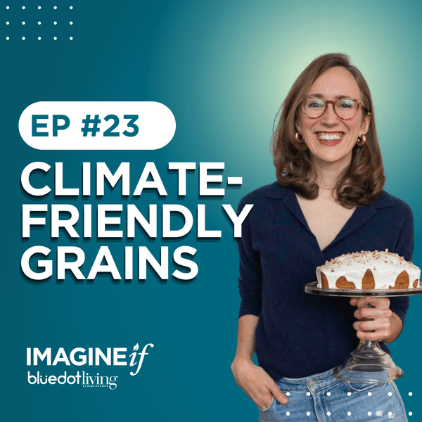 caroline-saunders-grains-imagine-if climate friendly grains caroline saunders imagine if thumbnail