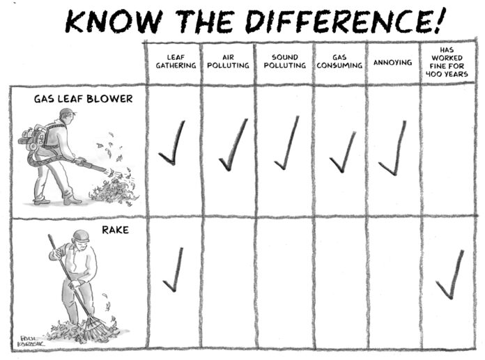 a graphic showing why a rake is better than a gas leaf blower
