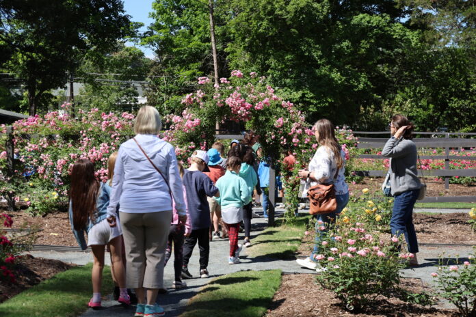 kids on a field trip at reynolda house museum & garden