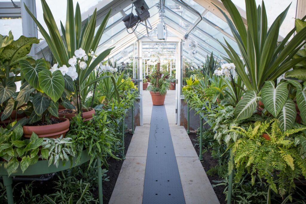 reynolda gardens greenhouse