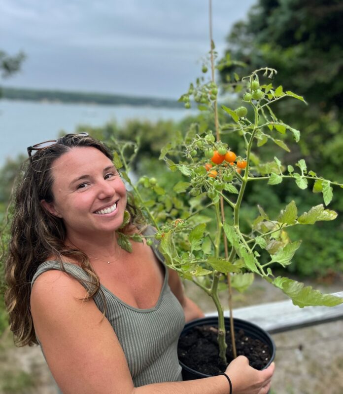 whitney holding a sun gold cherry tomato plant