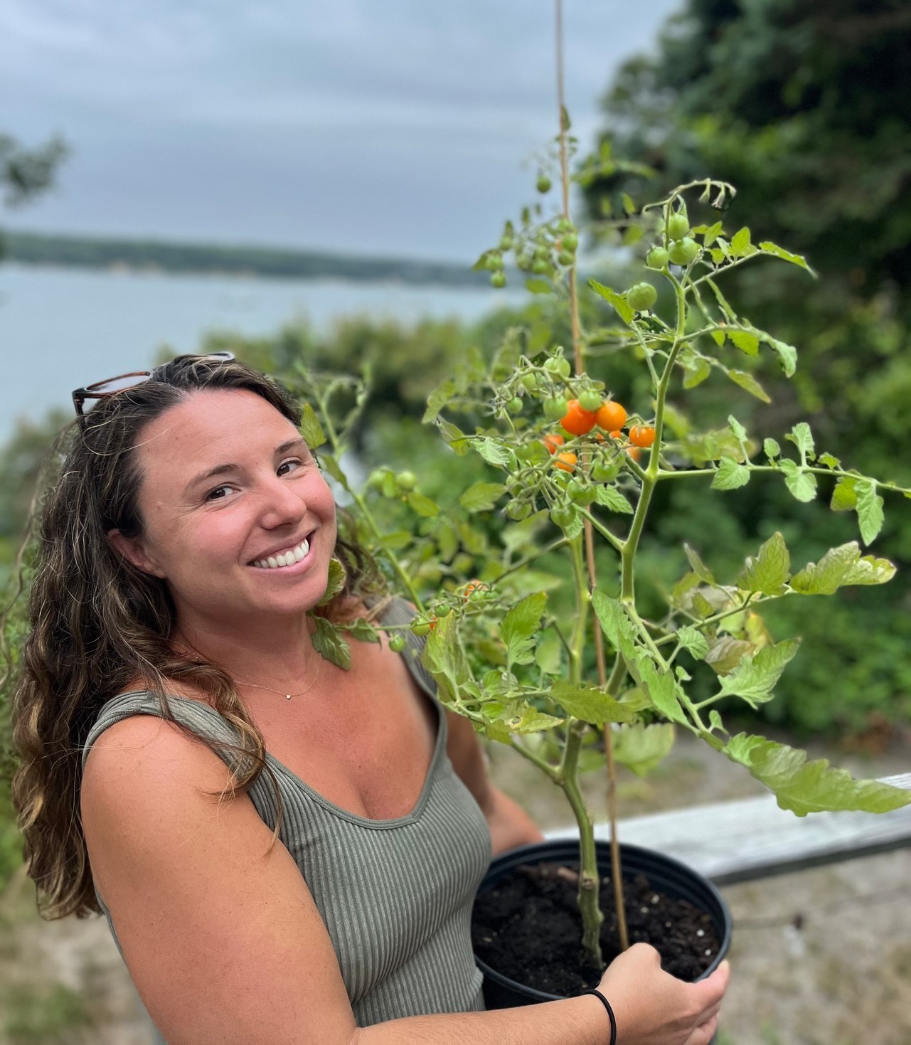 Growing Tomatoes and Tradition - Bluedot Living