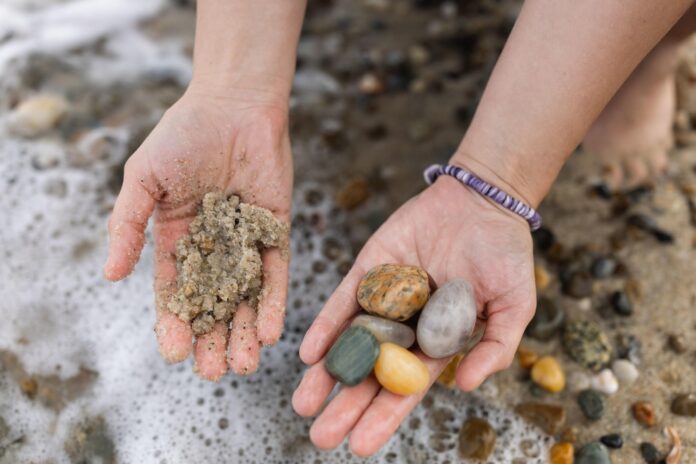 hand holding shells and rocks
