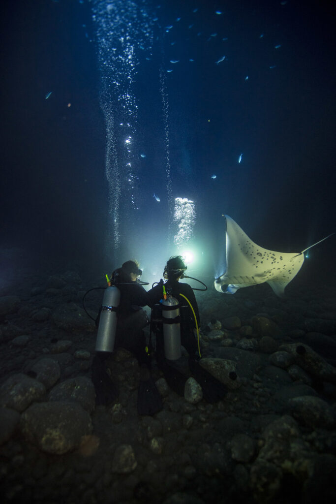 divers watch a giant ray swim underwater