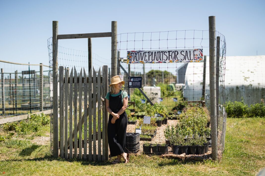 insitu nursery on nantucket