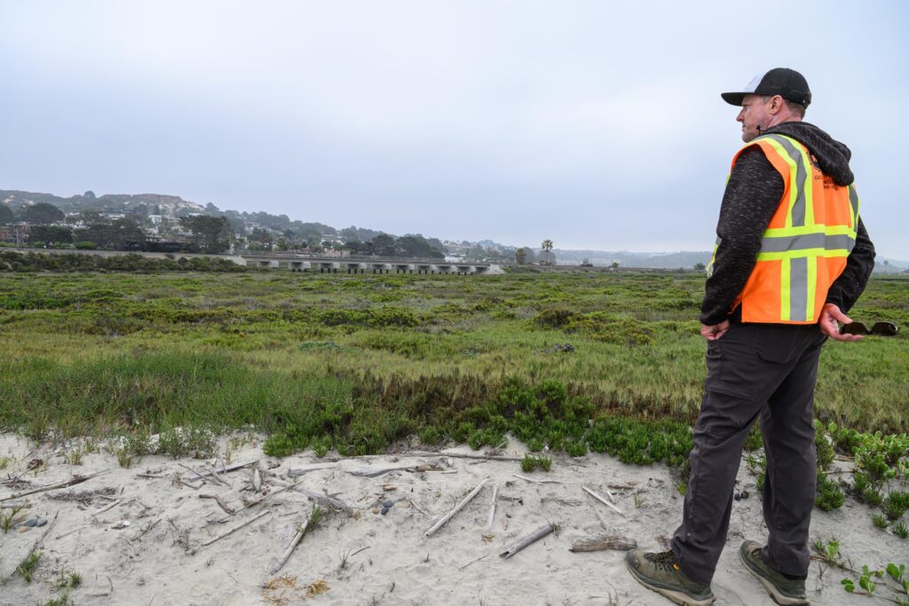 Los Peñasquitos Lagoon Foundation Executive Director Mike Hastings watches over belding's savannah sparrow habitat