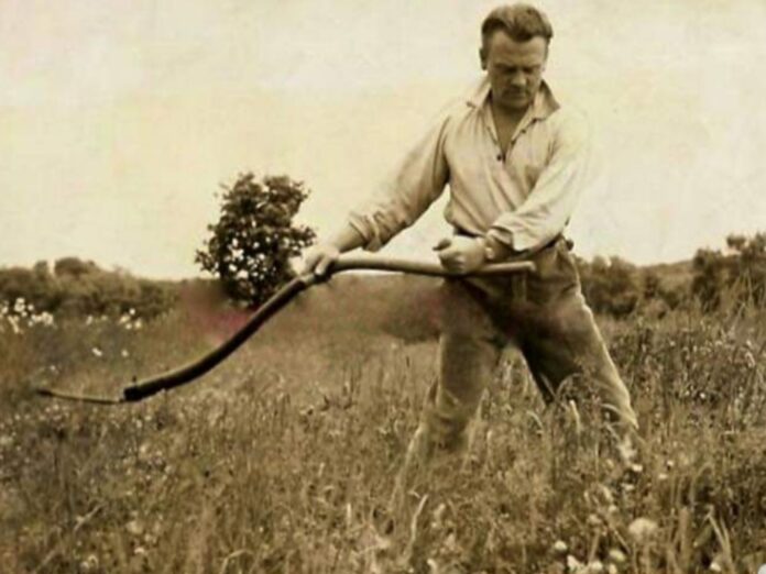 Jimmy Cagney using a scythe at his 250-acre farm on Martha's Vineyard