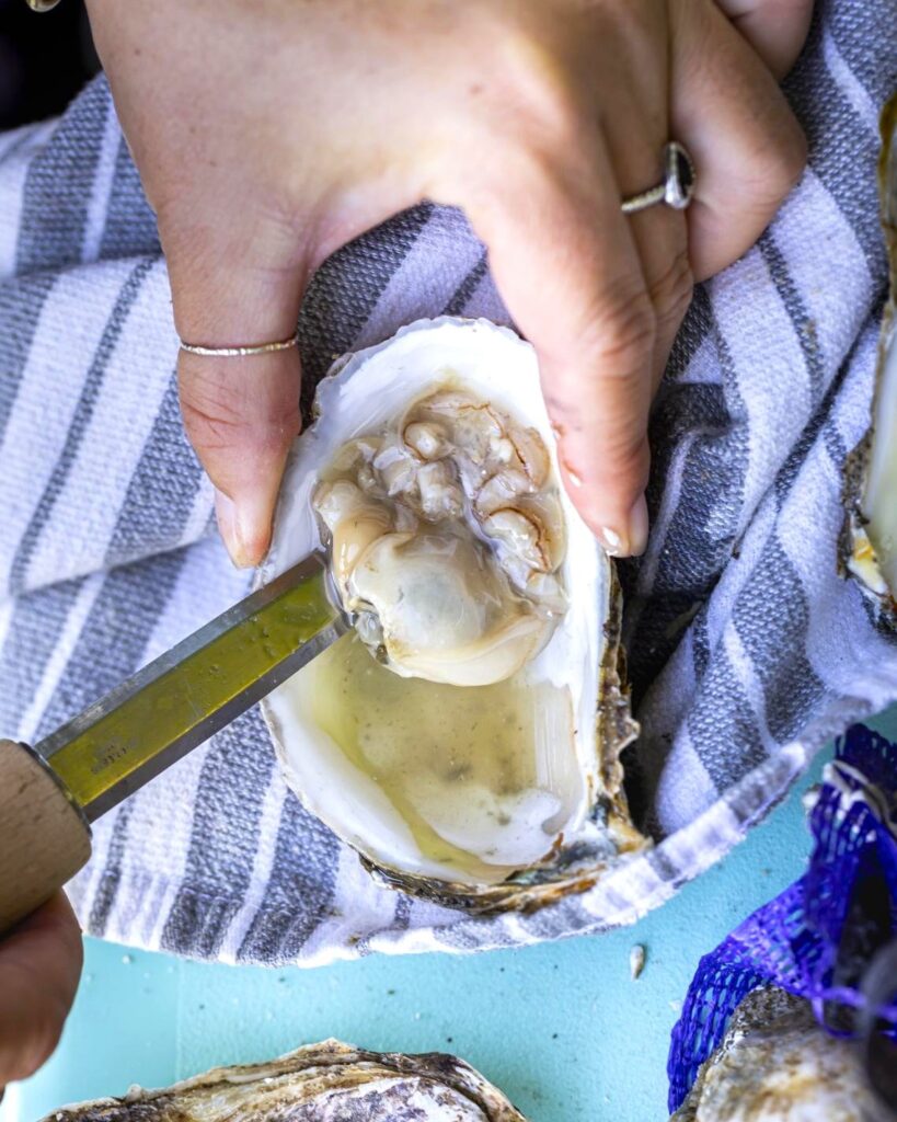 shucking an oyster