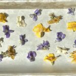 edible flowers on a tray