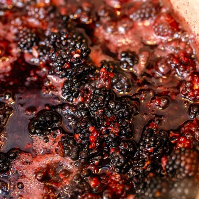 Any-Fruit Compote