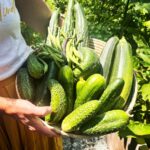 a woman holding pickles