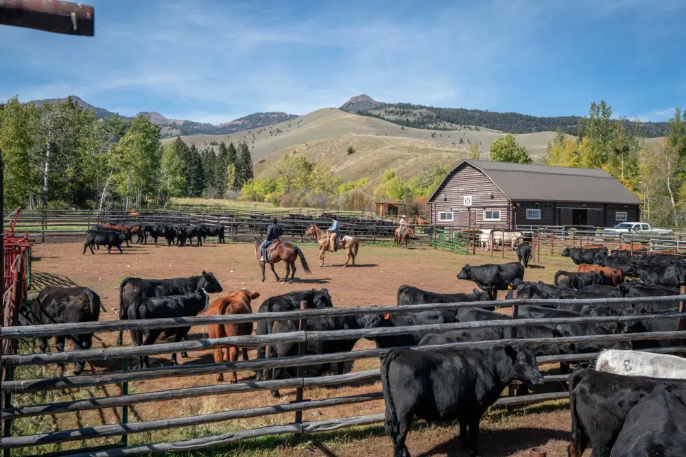 b bar ranch