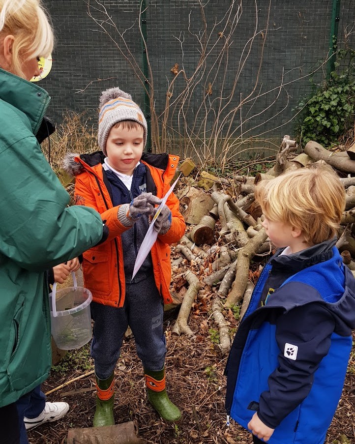 kids learning at forest schools