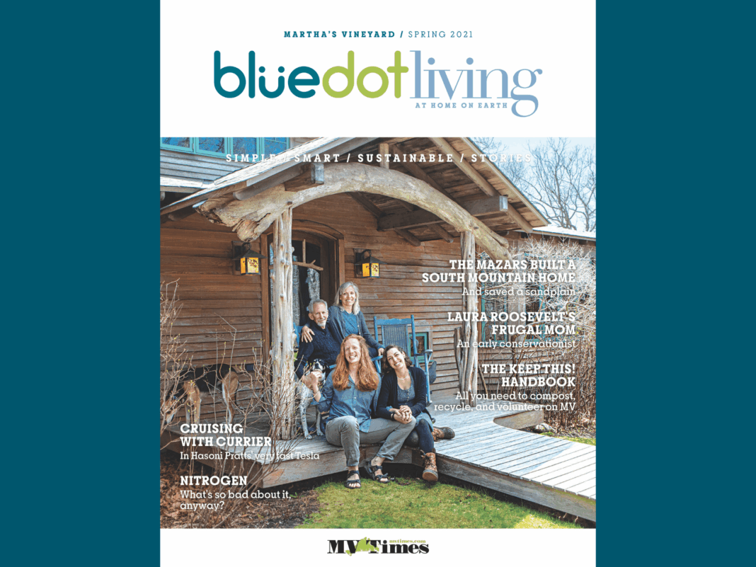 the cover to bluedot living's spring 2021 issue