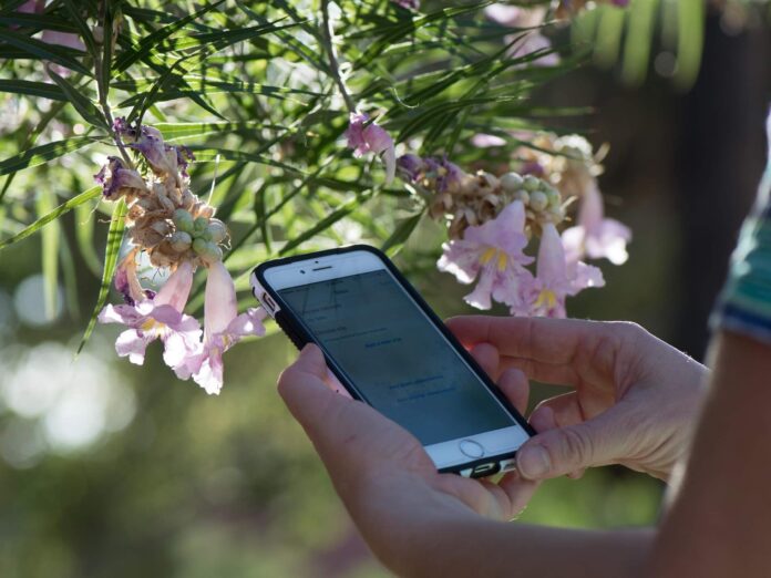 a person inputting plant information into an app