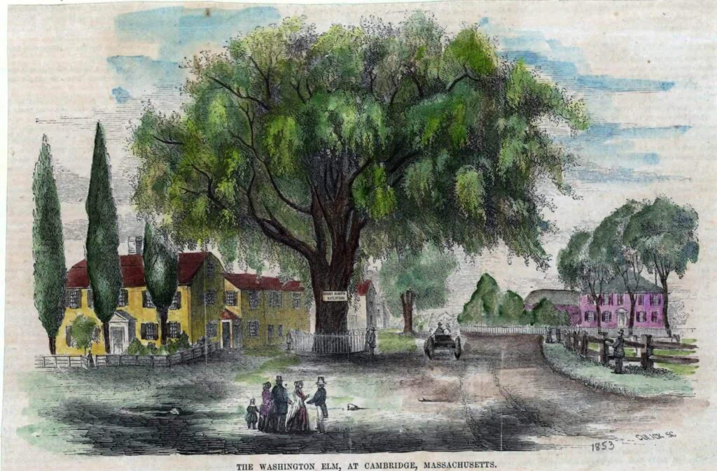 a colored engraving illustration
