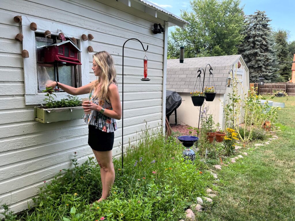 christina tending to the plants in her window